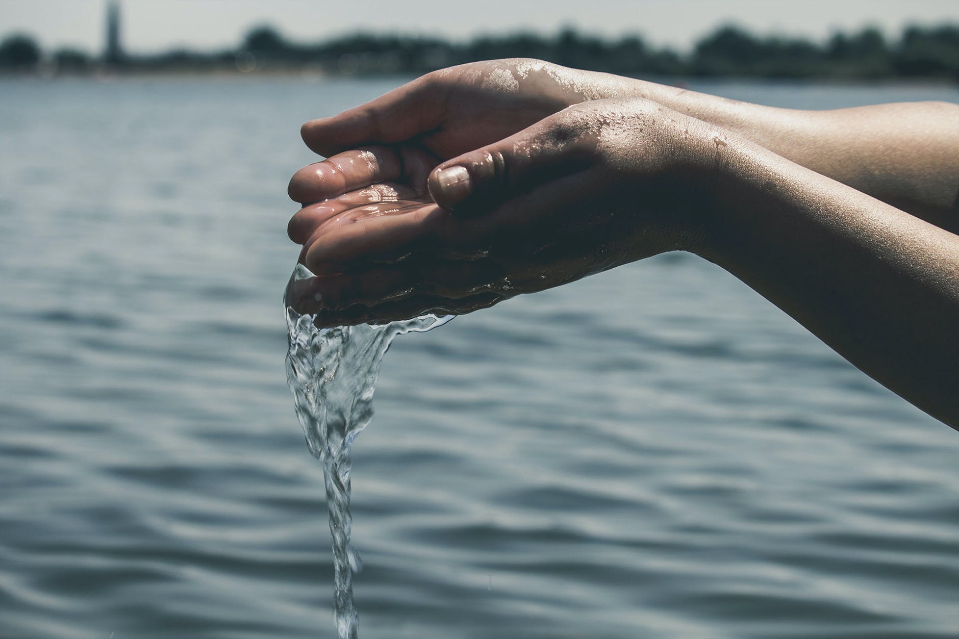 A pair of hands cupping water from a serene lake.