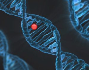 Could Biotech Stop the Zika Virus?