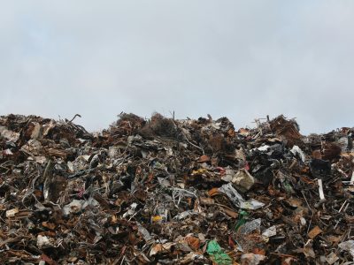 Waste Land: Film Review