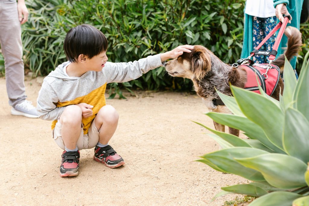 Puppy Love: Introducing a New Breed in Teaching