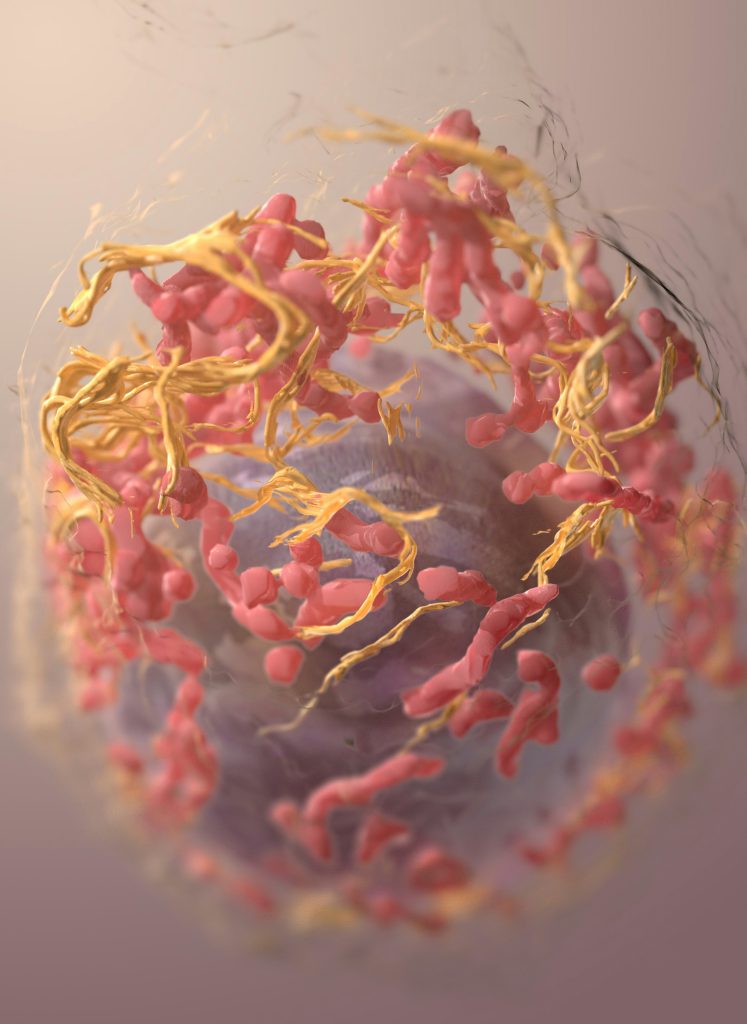 Novel Cancer Therapies