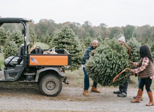 The Spirit of the Holidays