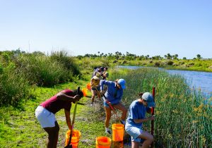 A group of volunteers digging near a river.