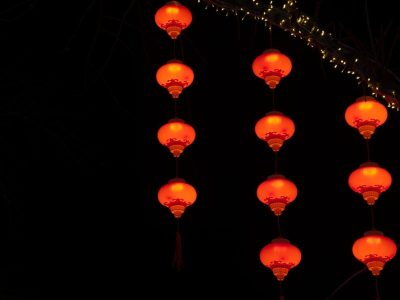 Multiculturalism and Loneliness
