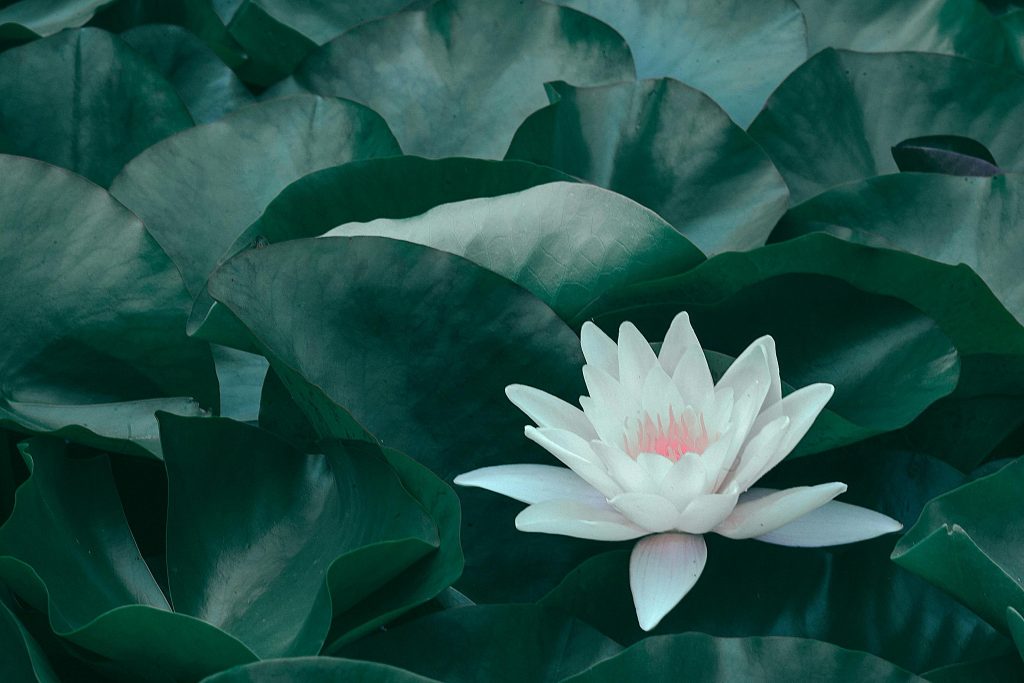 Why Martial Arts Movies Need More Spirituality