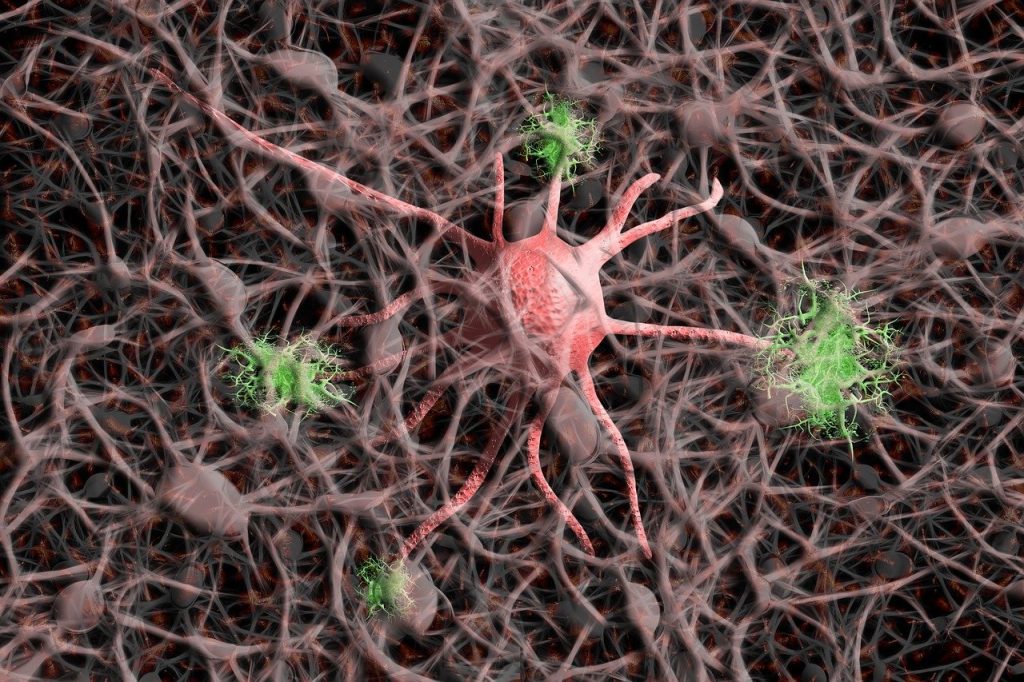 The Great Big Alzheimer's Puzzle