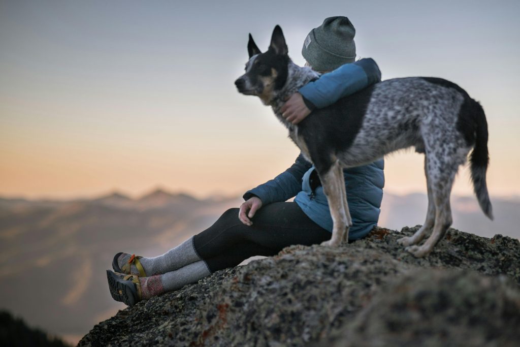 Dogs: The Good, The Great, And The Best