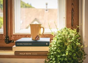A stack of books and a mug placed at a windowsill beside a plant.