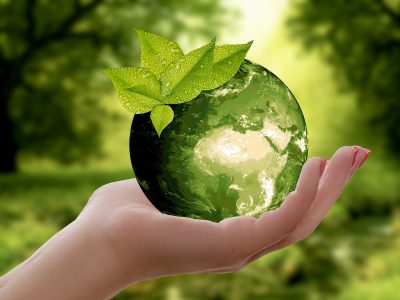 The New Movement: Upcycling
