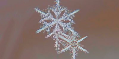 Close-up shot of intricate snowflakes.