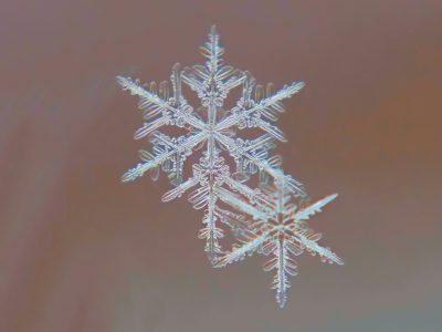 Close-up shot of intricate snowflakes.