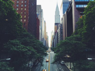 An Ecologist's Guide to the City