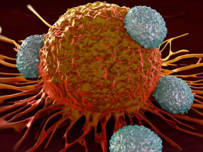 Novel Cancer Therapies