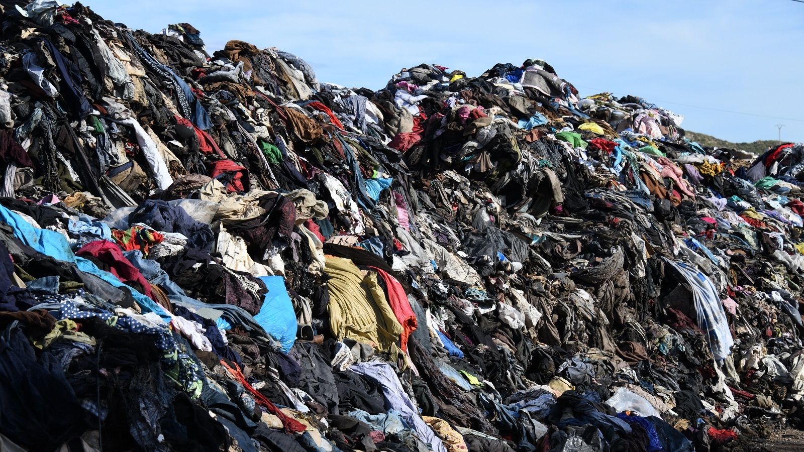 A Fashionable Death for the Planet
