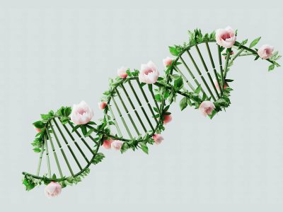 Animation of DNA with greenery and flowers growing from the double helix