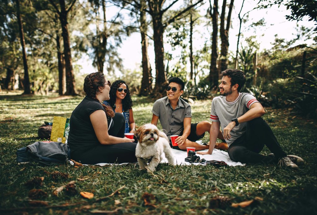 Four people and a dog sitting on a mat in a park. 