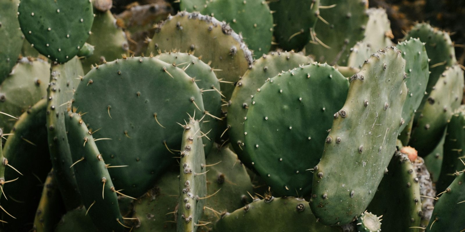 NonBinary Gender Identities Representation in Media INKspire