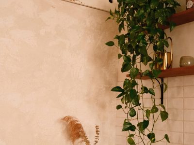 Occasions of the Philodendron