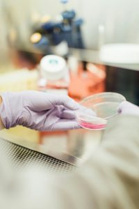 Flask to Table: The Future of Lab-Grown Meat