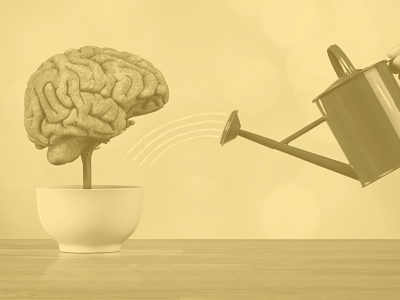 The Rewiring of Hope: How Neuroplasticity Proves We Can Begin Again