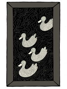 Illustration of ducks swimming in a river