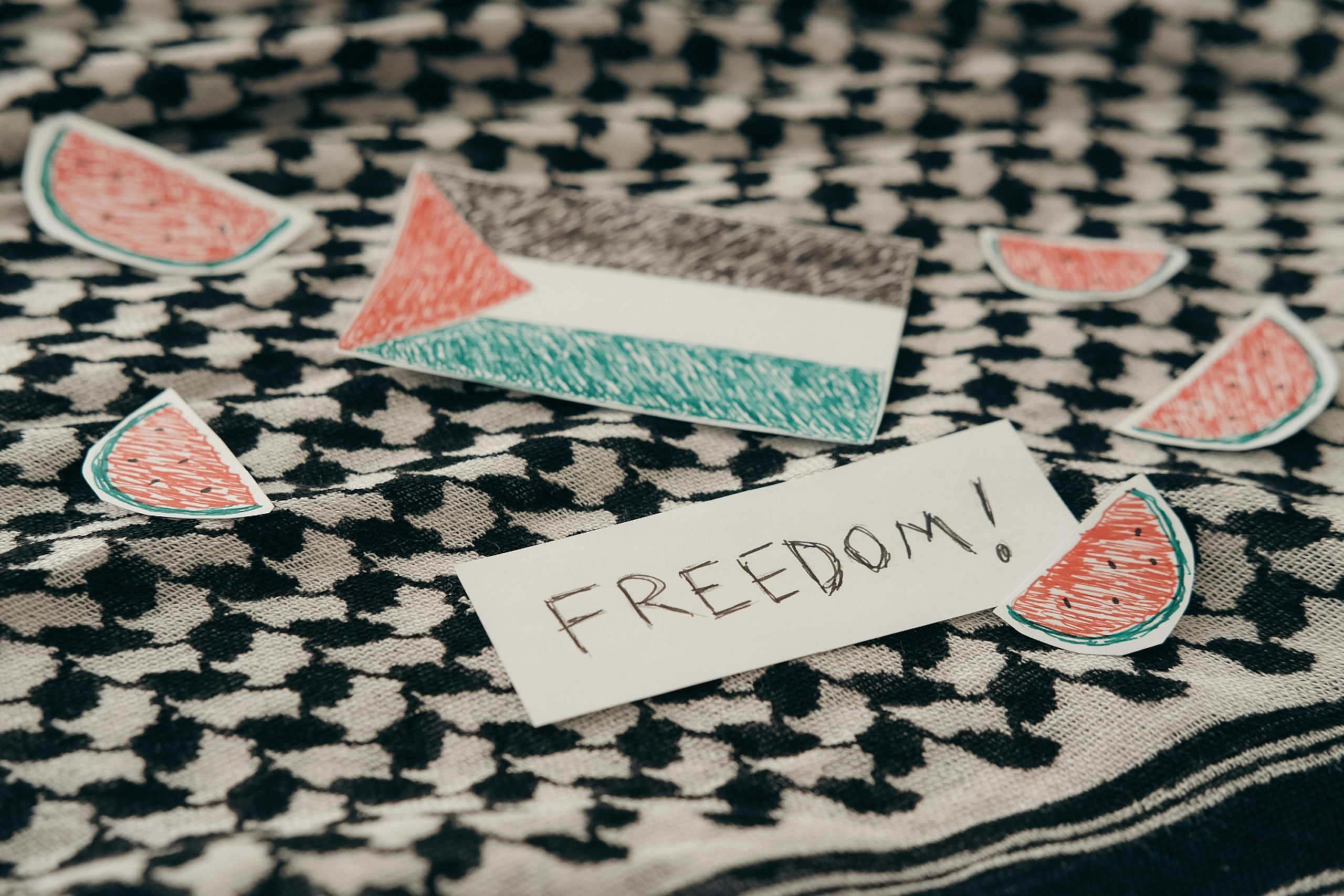 Digital Rebirth: How Pro-Palestinian Creators Are Reclaiming the Feed