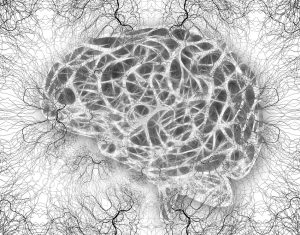 The Rewiring of Hope: How Neuroplasticity Proves We Can Begin Again