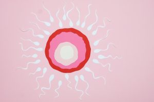 Image of an egg cell surrounded by sperm