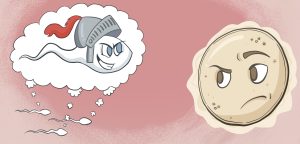 Illustration of a group of sperm picturing themselves as a sperm in a gladiator helmet, as they approach an uncertain-looking egg.