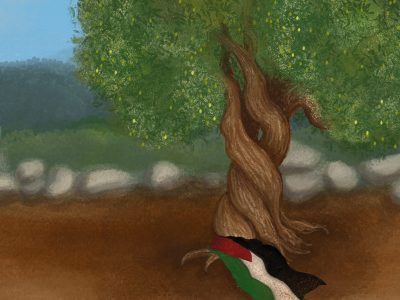 Where the olive trees grow, still