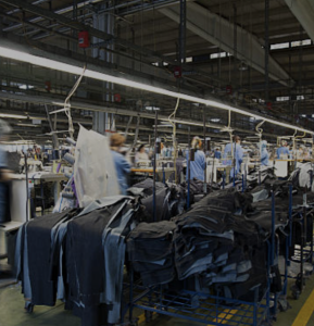 An Overview of The Health and Environmental Costs of What We Wear