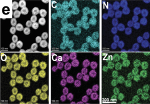 Nanoparticles carrying calcium carbonate and organic polymers are used to improve radiotherapy by remodelling the tumor environment for better cancer treatment.