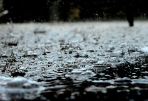 Image of rain on ground