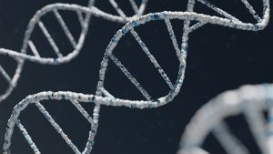 DNA, the cell’s genetic blueprint, can be repaired by specialized enzymes that help cancer cells survive against treatment.