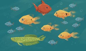 Illustration of colourful fish