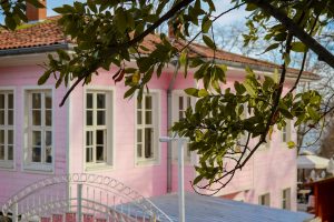 A pink house with tree branches in front.