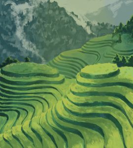 Illustration of green, terraced rice fields