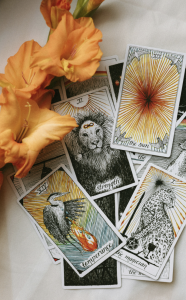 An assortment of line-drawing, animal-illustrated tarot cards spread out next to mango-colored flowers on a white fabric background.